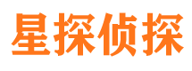 合江市调查公司